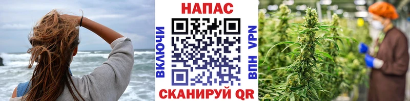 MEGA ССЫЛКА  Владивосток  Канабис MAZAR  наркотики 